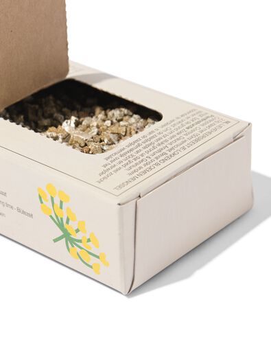 Auss&auml;en & Z&uuml;chten Saatgutmischung Marienk&auml;fer - 41800647 - HEMA