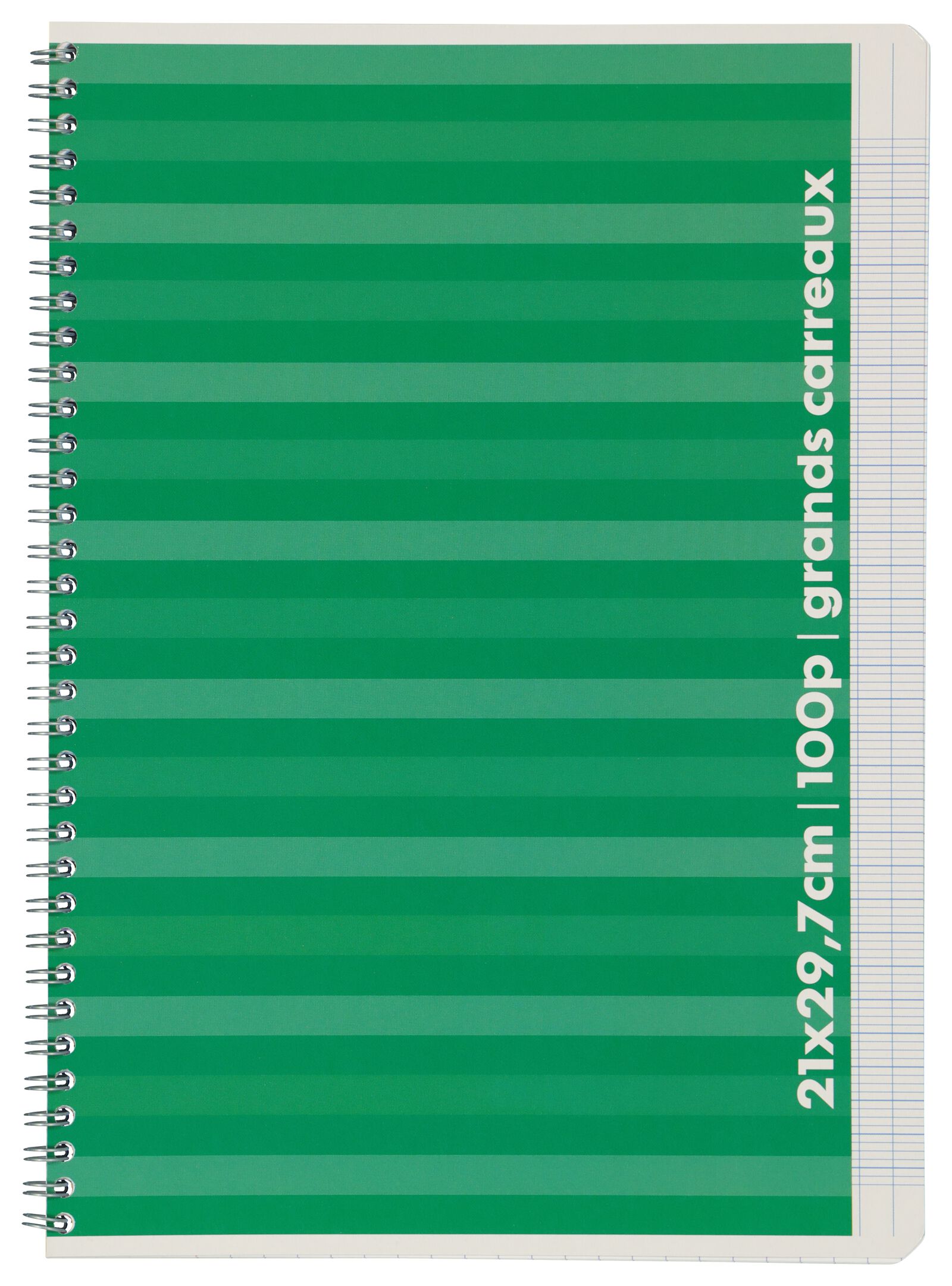 cahier A4 - lign&eacute; sey&egrave;s - 14185213 - HEMA