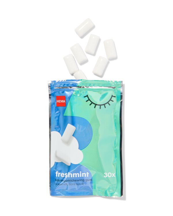 30 chewing-gums sans sucre freshmint - 10460012 - HEMA