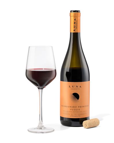 Negroamaro Primitivo Appassite - 17360165 - HEMA