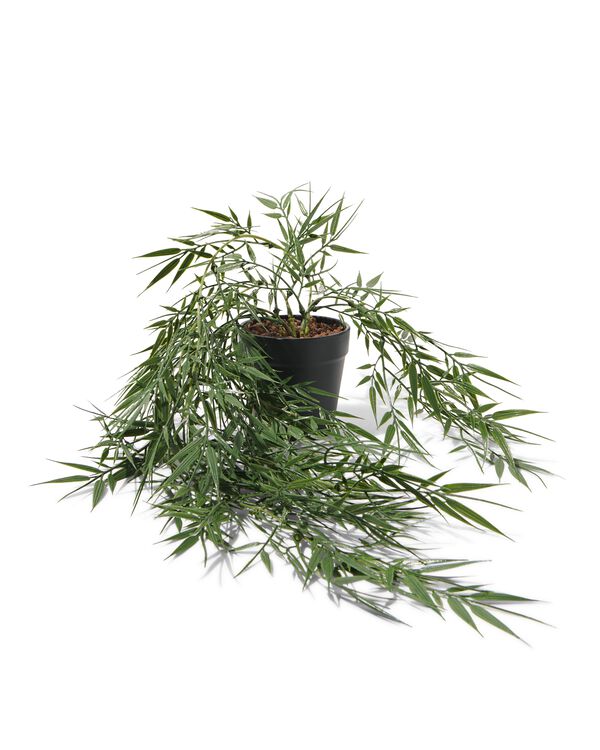 Kunstpflanze, Bambus, 60 cm - 41323004 - HEMA