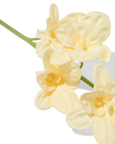 fleur artificielle dendrobium 55 cm caoutchouc blanche - 41300117 - HEMA
