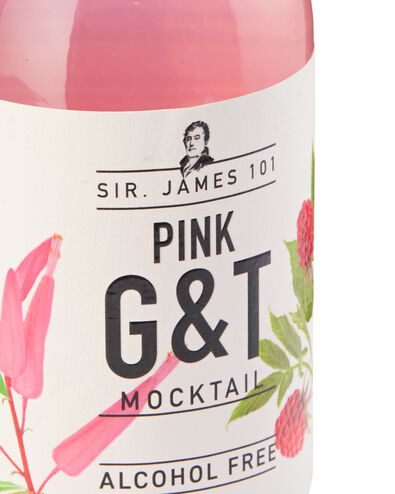 alcoholvrije pink G&T 250ml - 17420045 - HEMA