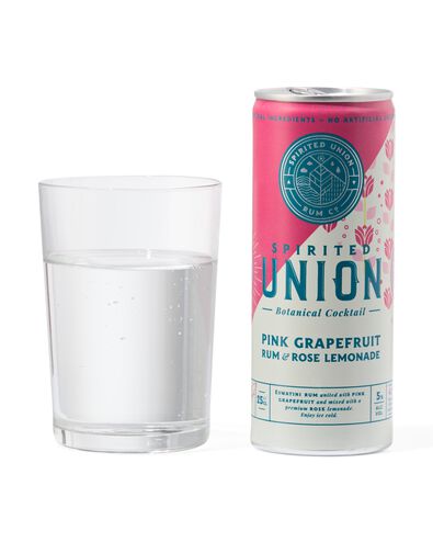 Spirited Union pink rum & rose lemonade 250ml - 17440007 - HEMA