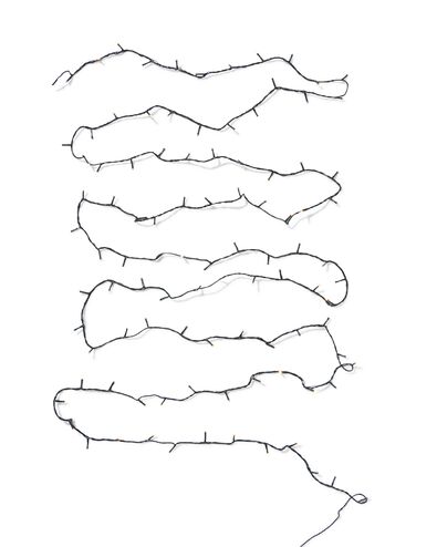 guirlande lumineuse de 12&thinsp;m avec 100 LED scintillantes pour l'int&eacute;rieur et l'ext&eacute;rieur - 25510010 - HEMA