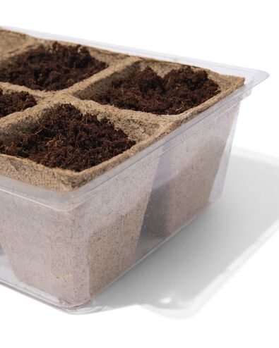 Anzuchtset K&uuml;rbis  - 41800628 - HEMA