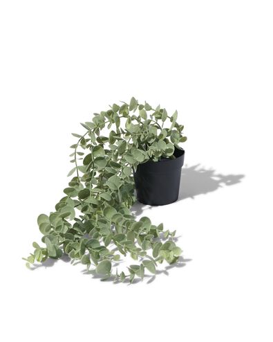 plante artificielle eucalyptus - 41323009 - HEMA