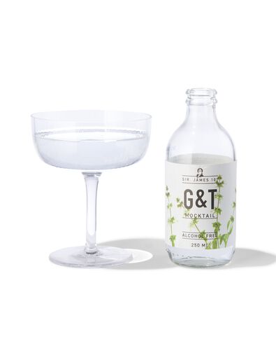 alcoholvrije G&T 250ml - 17420042 - HEMA