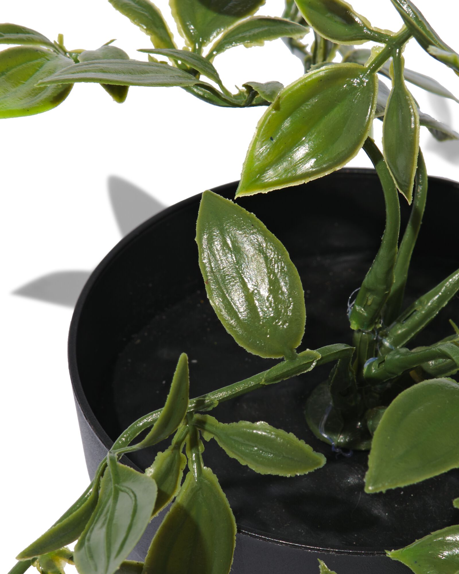 plante artificielle herbe aux écus - 41323010 - HEMA