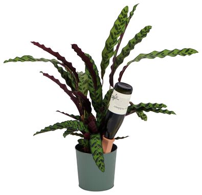 waterdruppelaar terra cotta 18cm 2 stuks - 41830339 - HEMA