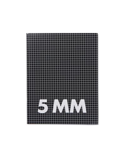 3 cahiers 16,5 x 21 cm - carreaux 5 mm - 14101607 - HEMA