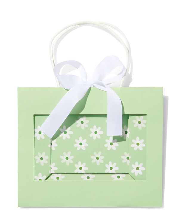 sac cadeau avec fenêtre et rubans 20x24x11 vert - 60640034 - HEMA