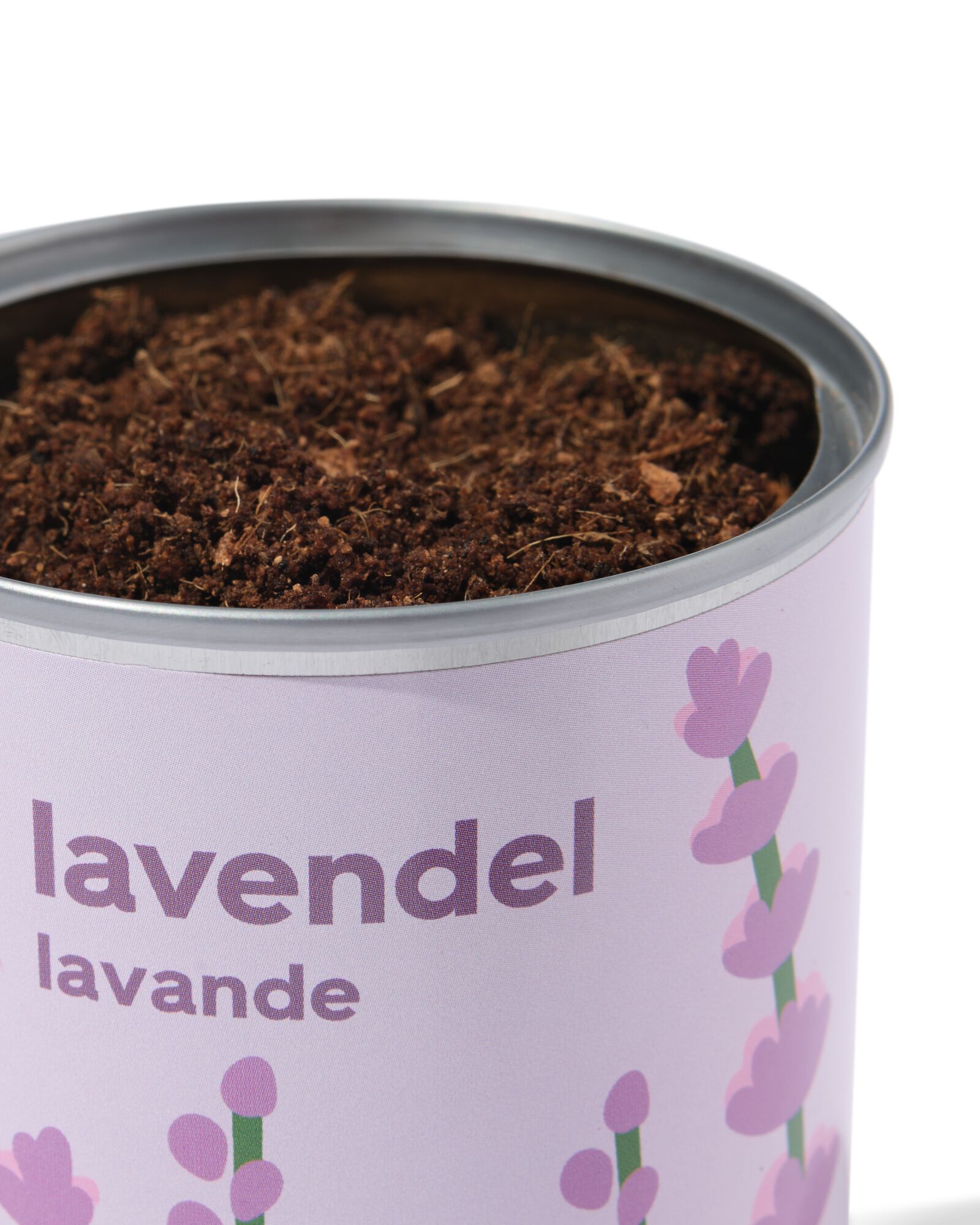 Anzuchtdose Lavendel - 41800655 - HEMA
