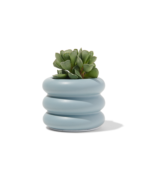 Blumentopf, Keramik, blaugrau, Ø 8 x 6.5 cm - 13331001 - HEMA