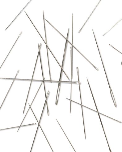 naaldenset doosje magneet - 12 stuks - 1400311 - HEMA