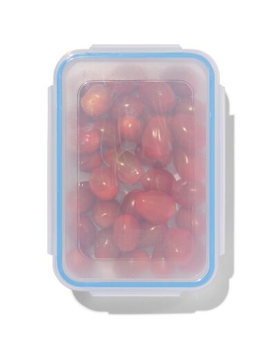 bo&icirc;te &agrave; clip 0.7L 18.5x13x5.5 - 80802053 - HEMA