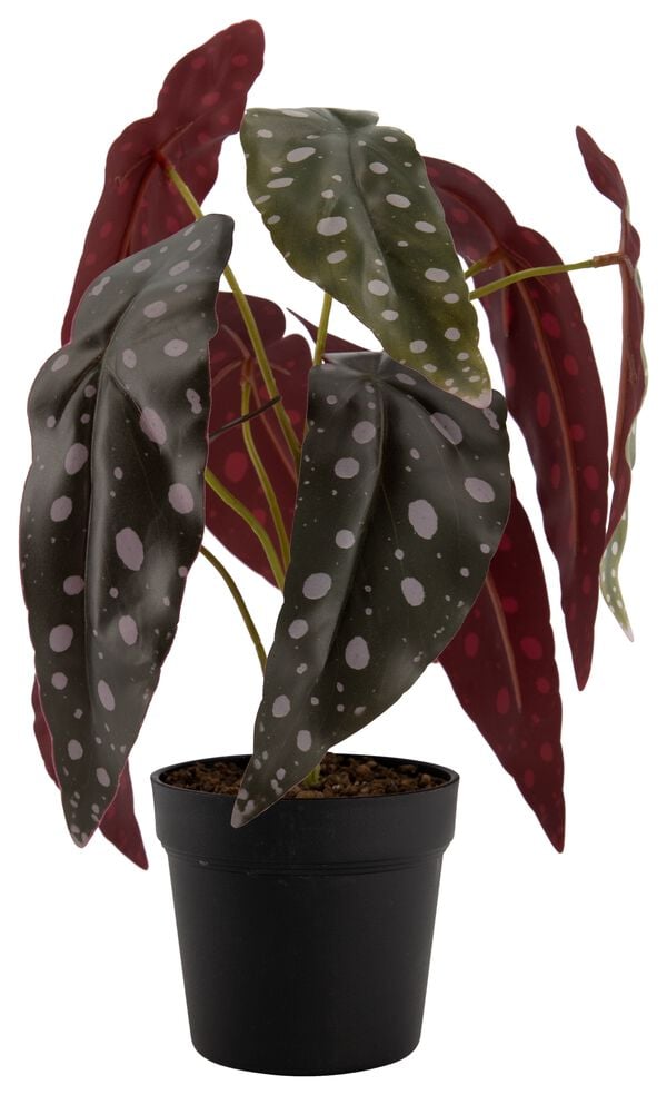 plante artificielle b&eacute;gonia &agrave; pois - 41322044 - HEMA