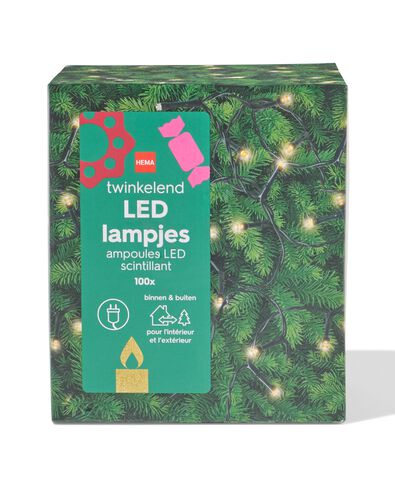 lichtsnoer 12m met 100 LED lampjes twinkelend voor binnen en buiten - 25510010 - HEMA