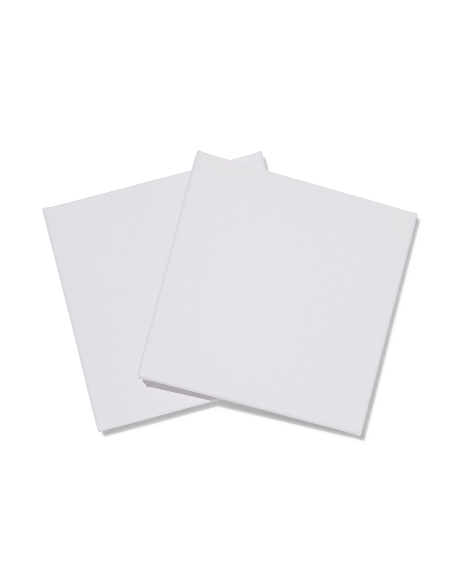 2&nbsp;toiles de peinture 20x20 - 15900119 - HEMA