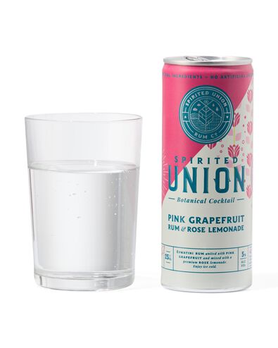 Spirited Union pink rum & rose limonade 250 ml - 17440007 - HEMA