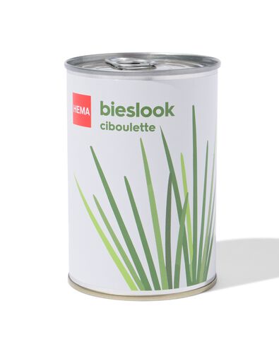 groeiblik bieslook - 41800652 - HEMA