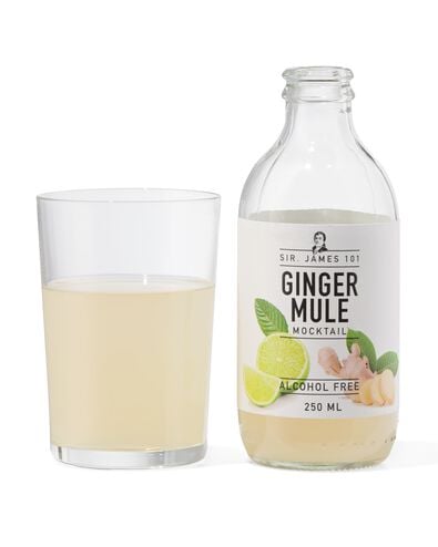 alcoholvrije ginger mule 250ml - 17460060 - HEMA