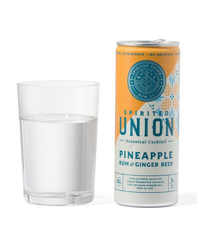 Spirited Union pineapple rum & ginger 250 ml - 17440008 - HEMA