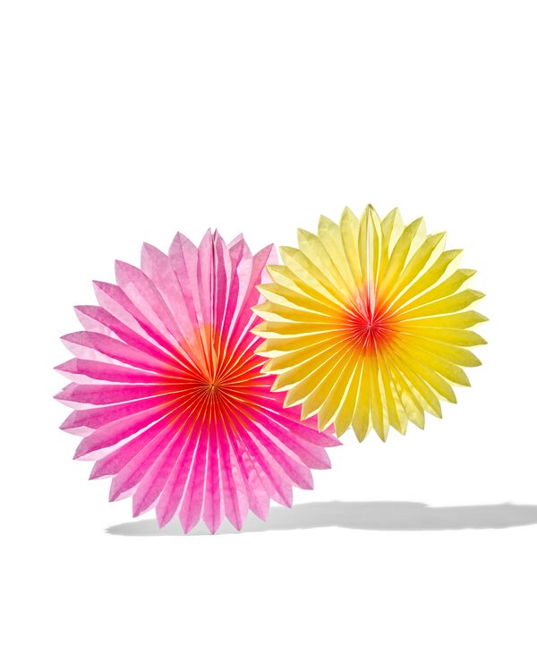2 éventails en papier alvéolé - 14200426 - HEMA