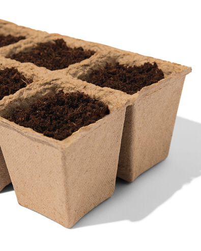 kweekset thee - 41800660 - HEMA