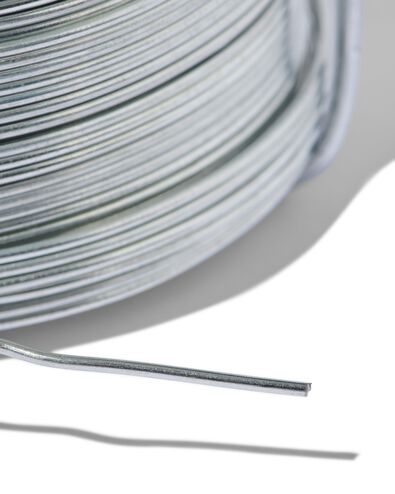 fil de fer 50 m&egrave;tres - 81040086 - HEMA