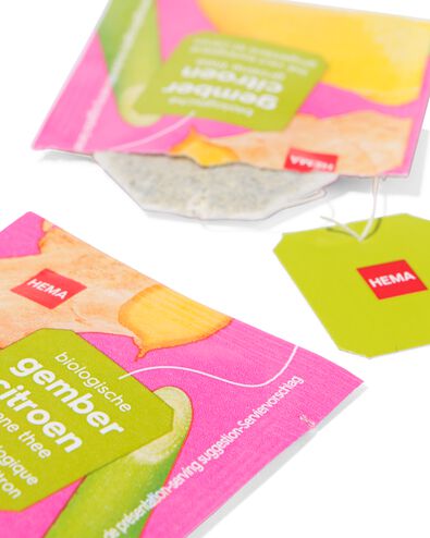 Bio-Gr&uuml;ntee, Ingwer-Zitrone, 20 Beutel - 17190300 - HEMA