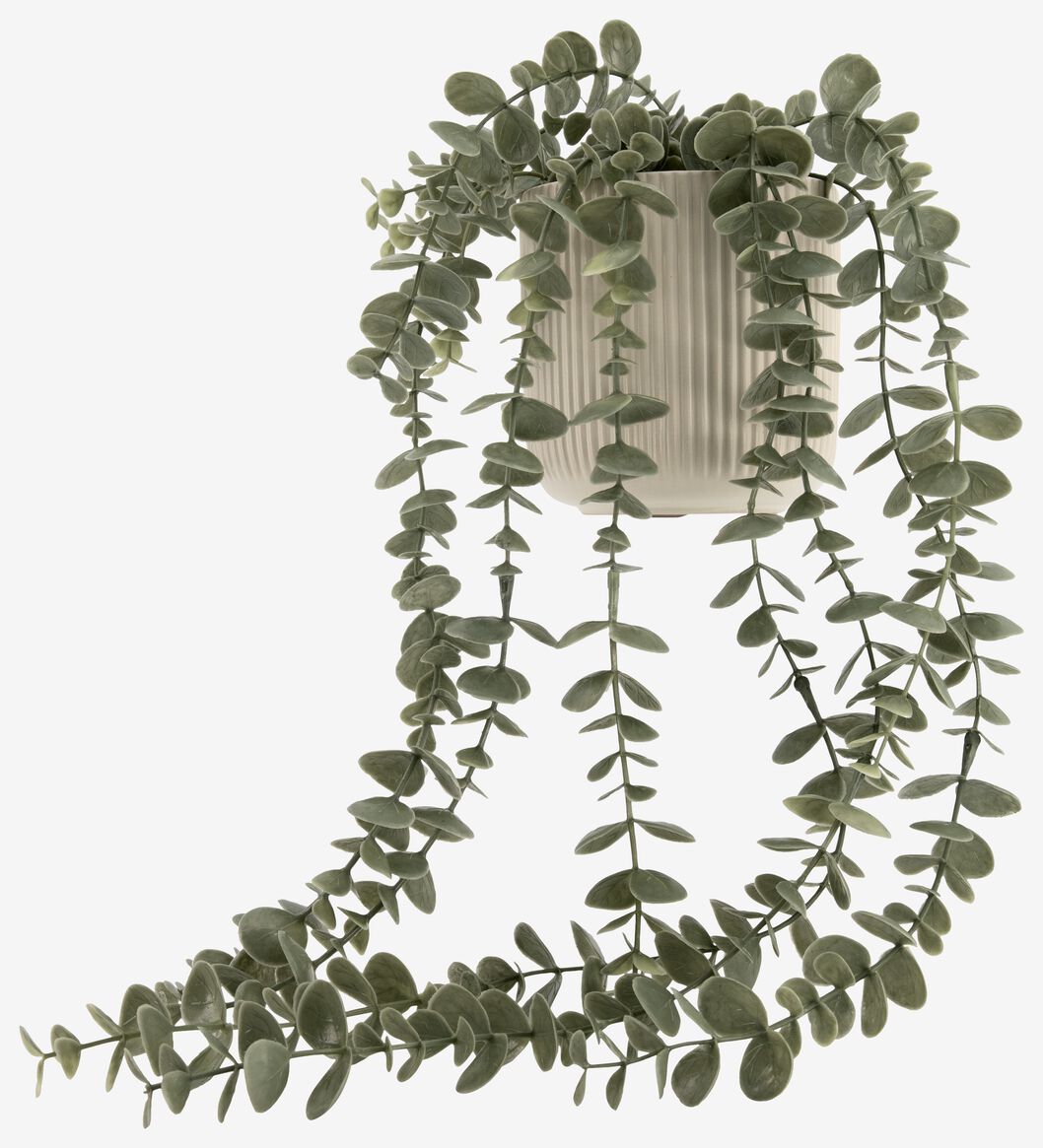kunstplant eucalyptus - 41322043 - HEMA