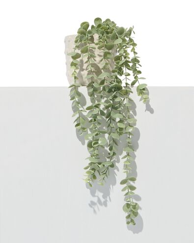 Kunstpflanze, Eukalyptus - 41323009 - HEMA