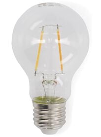 ampoule LED 25W - 250 lumens - poire - transparent - 20020007 - HEMA