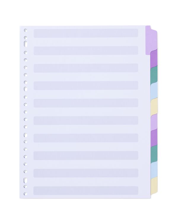 20-pak tabbladen karton A4 - 14822213 - HEMA