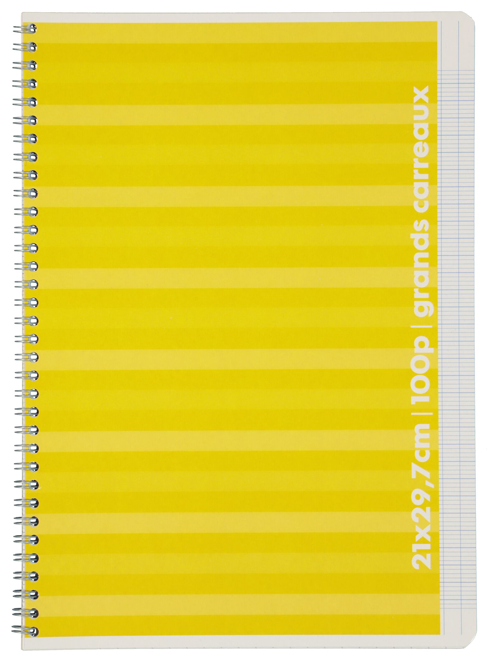 cahier A4 - lign&eacute; sey&egrave;s - 14185213 - HEMA