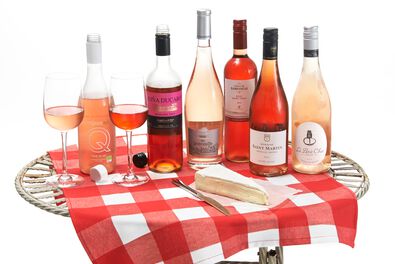 lavendette alpes de haute provence - 17383060 - HEMA