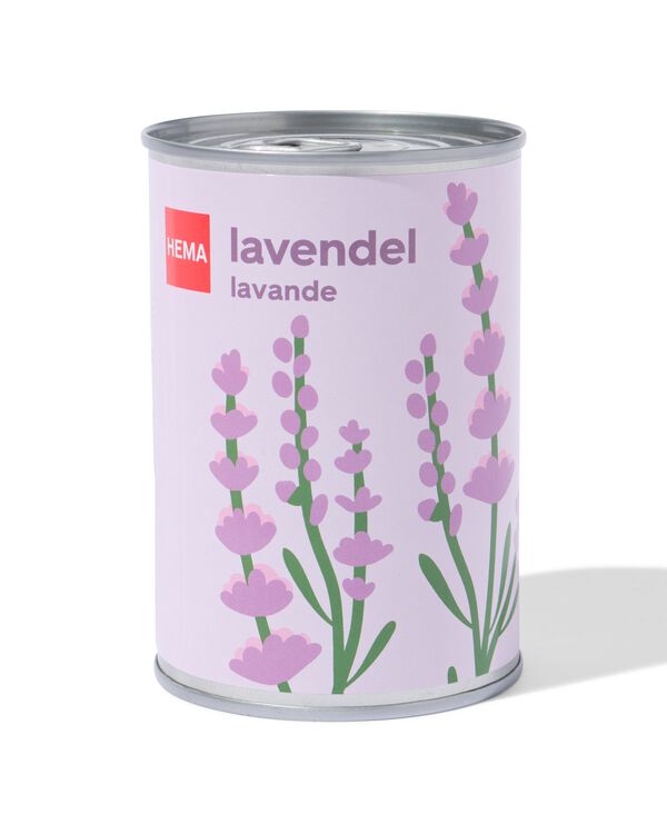 groeiblik lavendel - 41800655 - HEMA