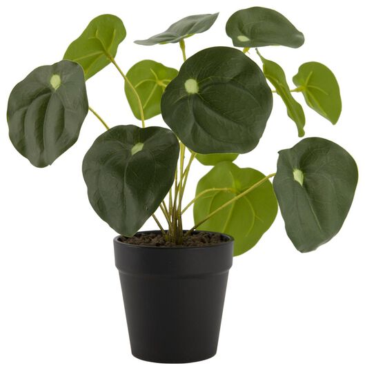 kunstplant pannenkoekenplant - 41322045 - HEMA