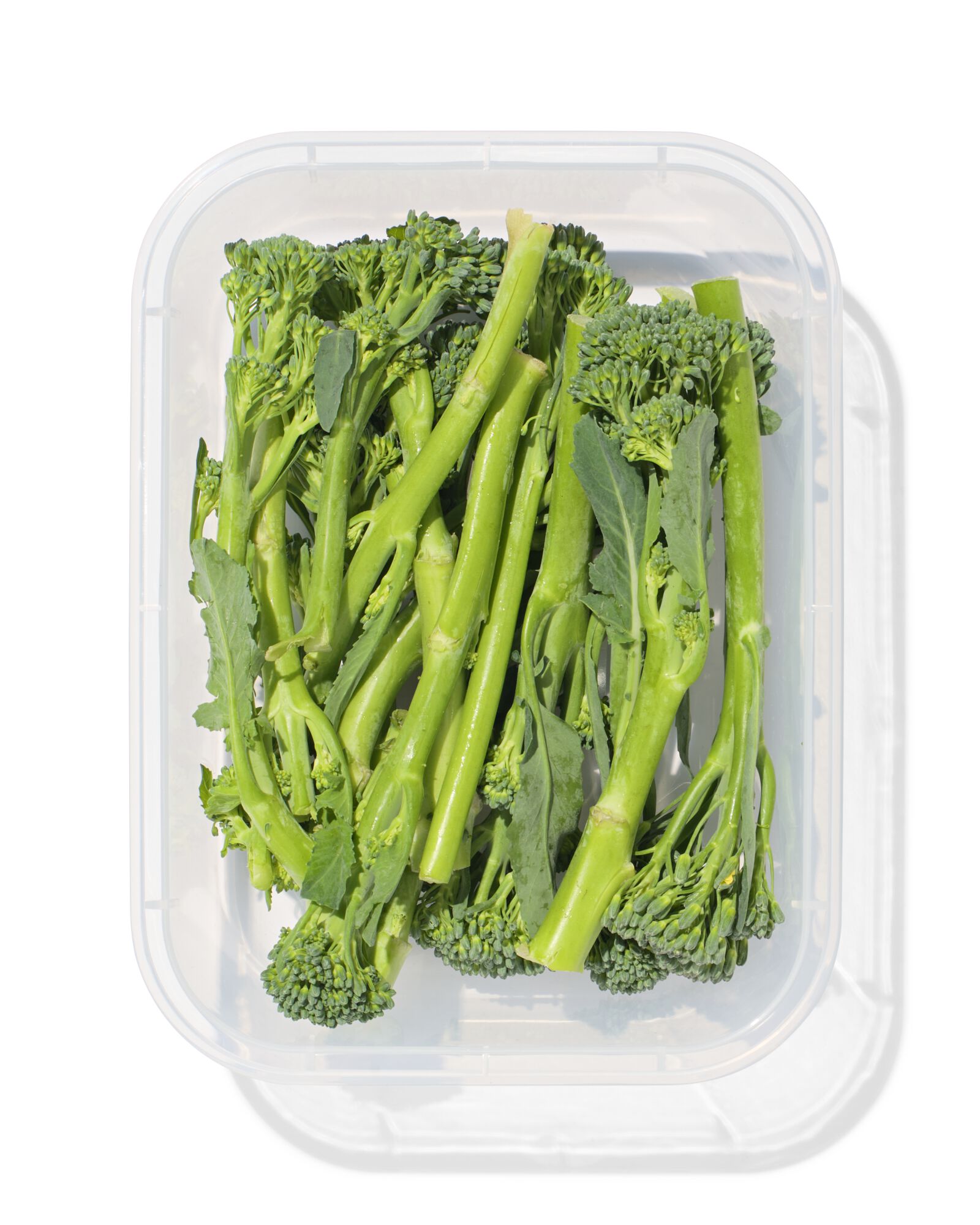 r&eacute;cipient de stockage taille L 1530 ml en plastique sans couvercle - 80810510 - HEMA