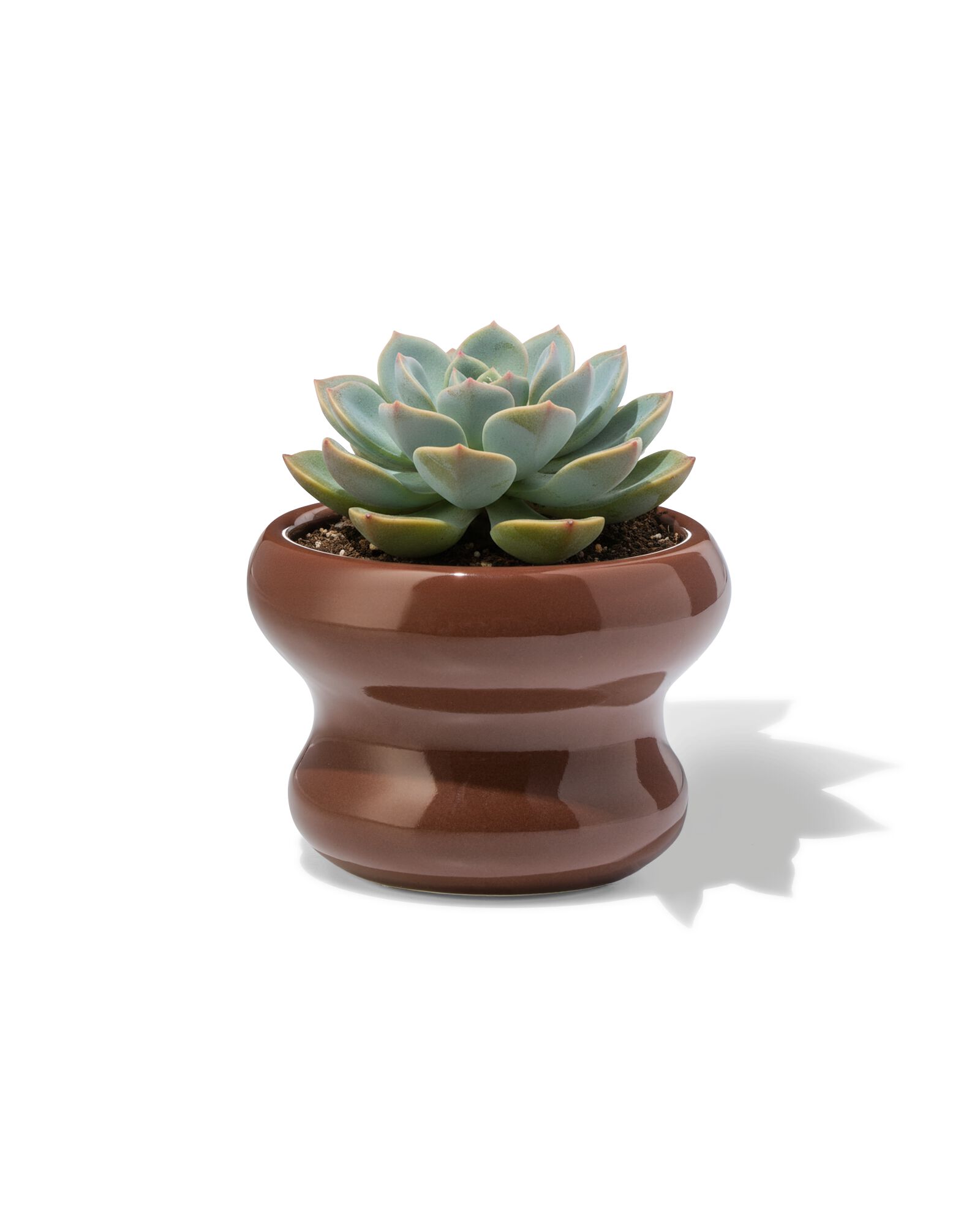 Blumentopf ⌀ 13 x 9 cm, Keramik Blob, braun - 13326028 - HEMA