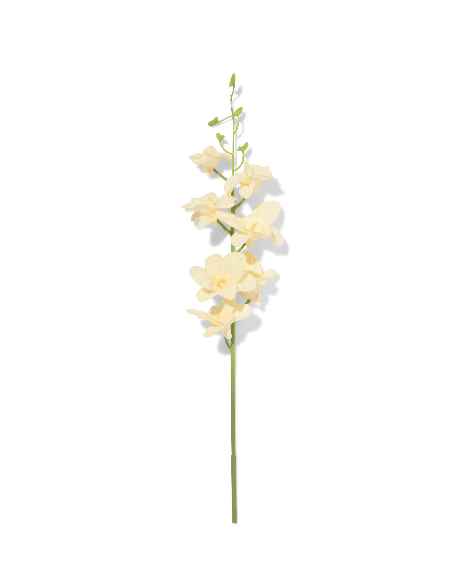 fleur artificielle dendrobium 55 cm caoutchouc blanche - 41300117 - HEMA