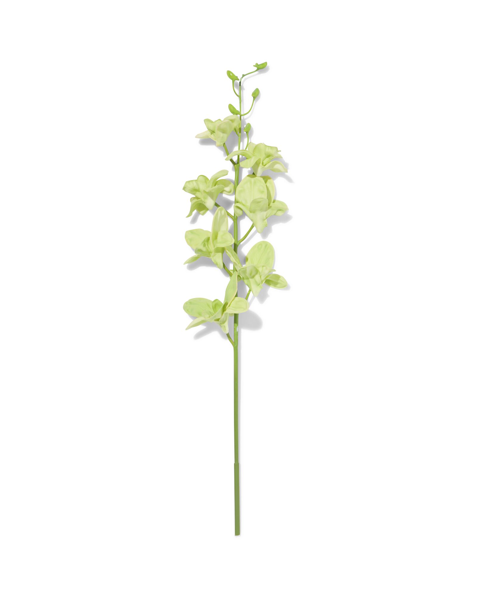 Kunstblume Dendrobie 55 cm Kautschuk Gr&uuml;n - 41300116 - HEMA