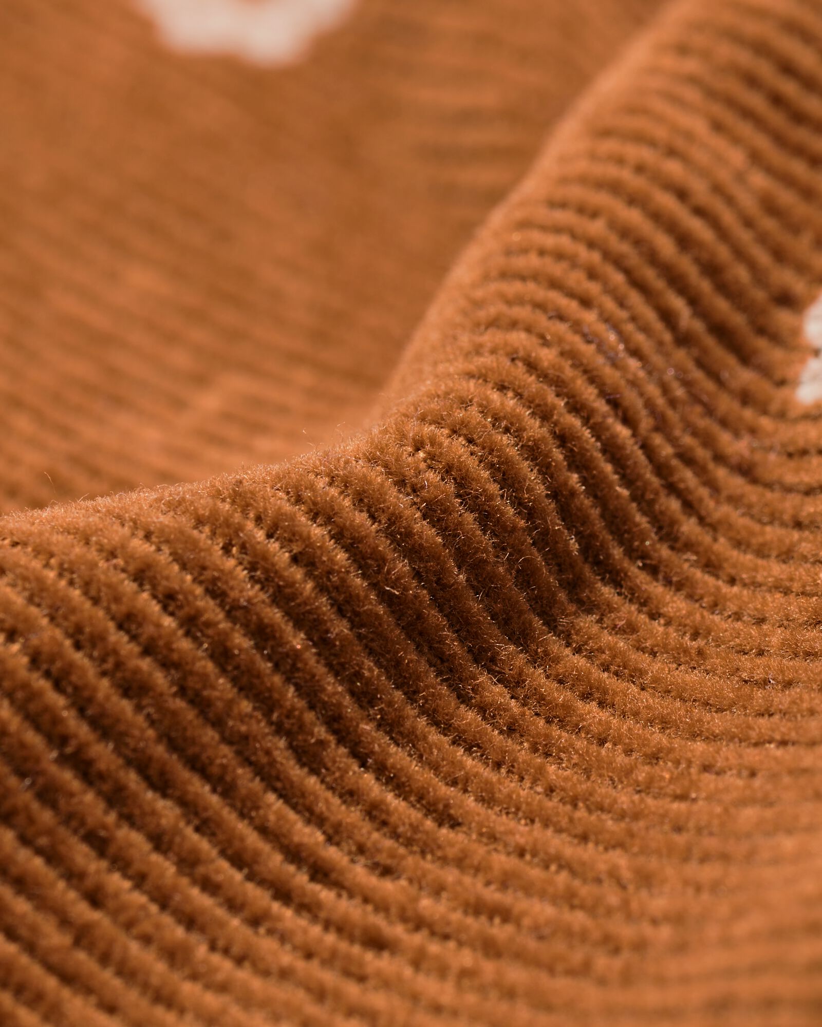 babyblouse corduroy bloemen bruin bruin - 33049570BROWN - HEMA