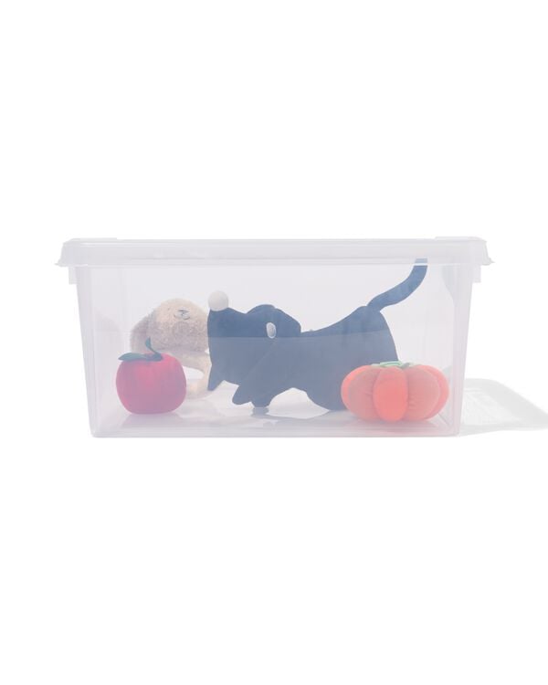 boîte de rangement 32L London transparent 50x39x26 - 39829659 - HEMA