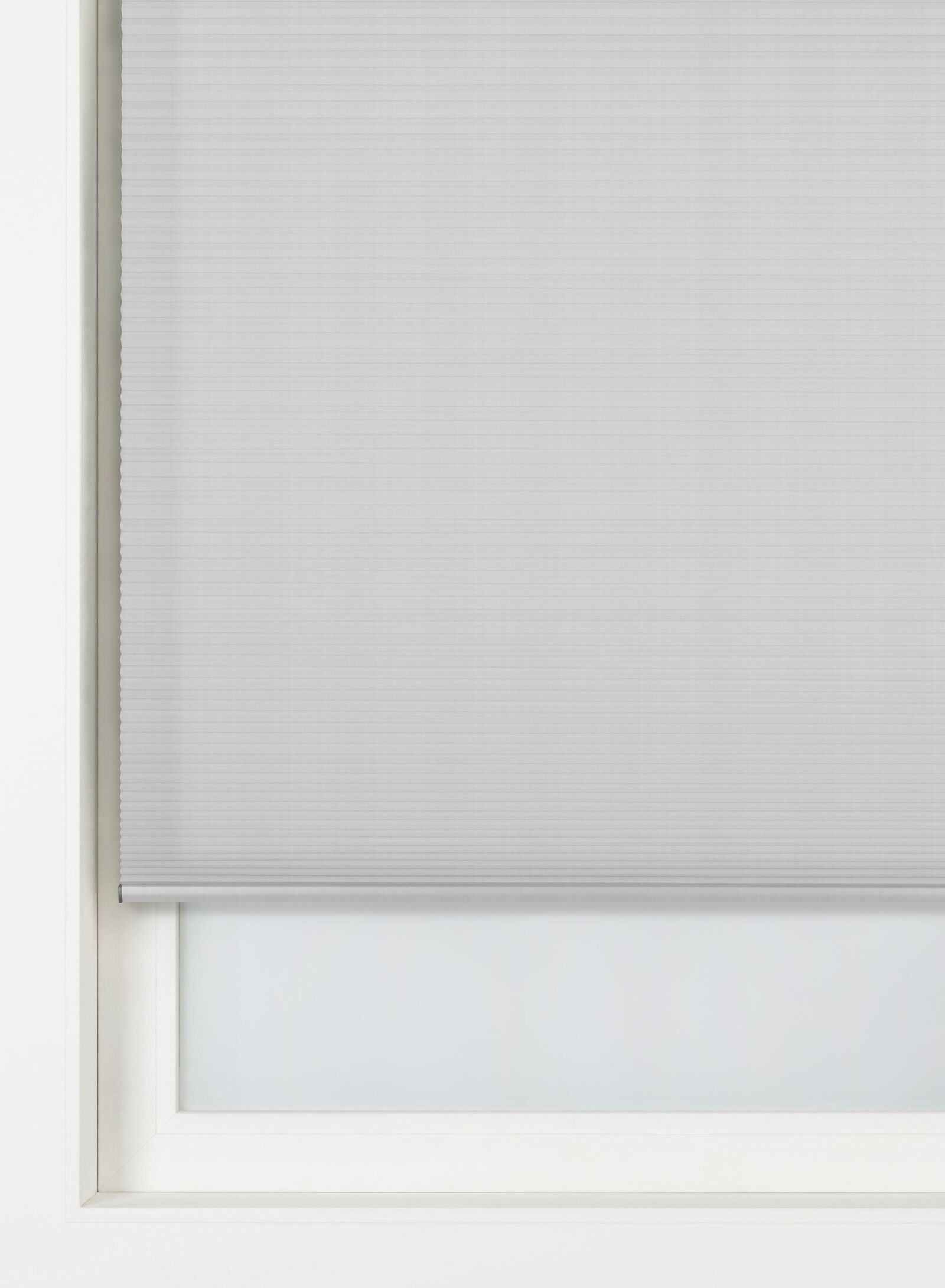 plisse dubbel lichtdoorlatend witte achterzijde grijs (grijs)