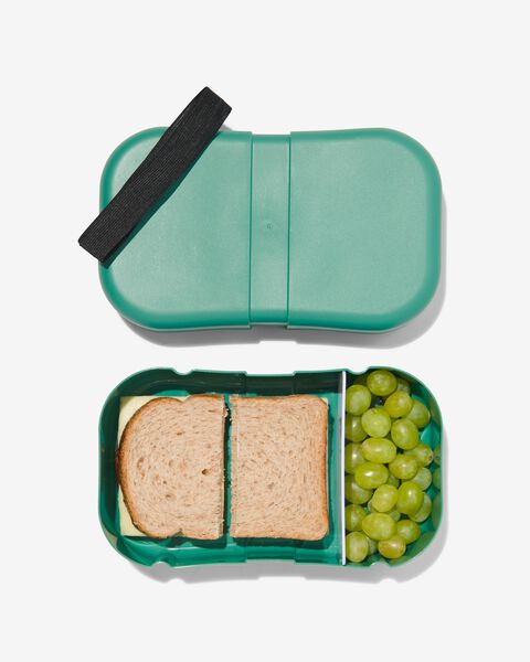 boîte à déjeuner avec élastique XL vert - 80630549 - HEMA