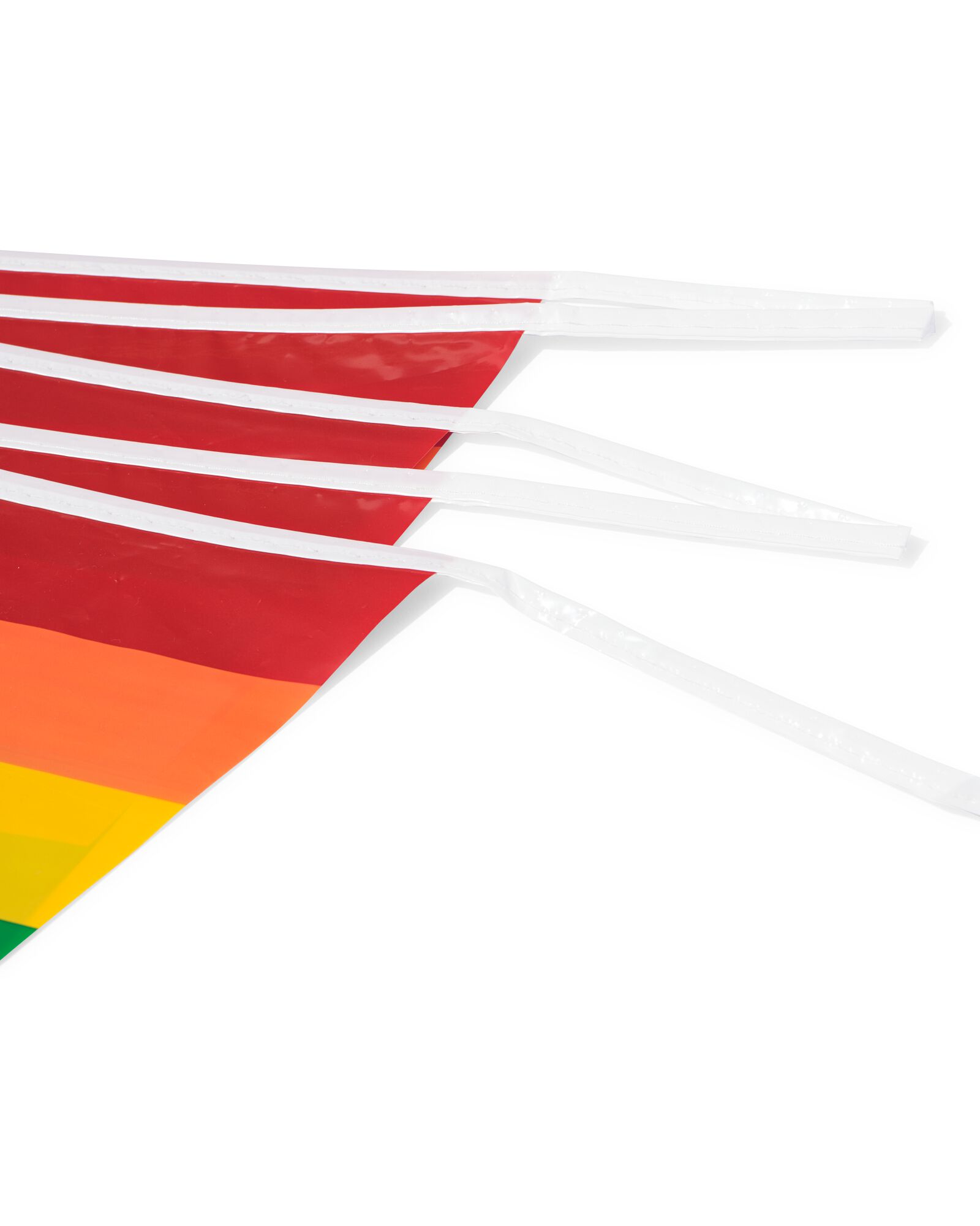 vlaggenlijn 10m Pride - 60800591 - HEMA