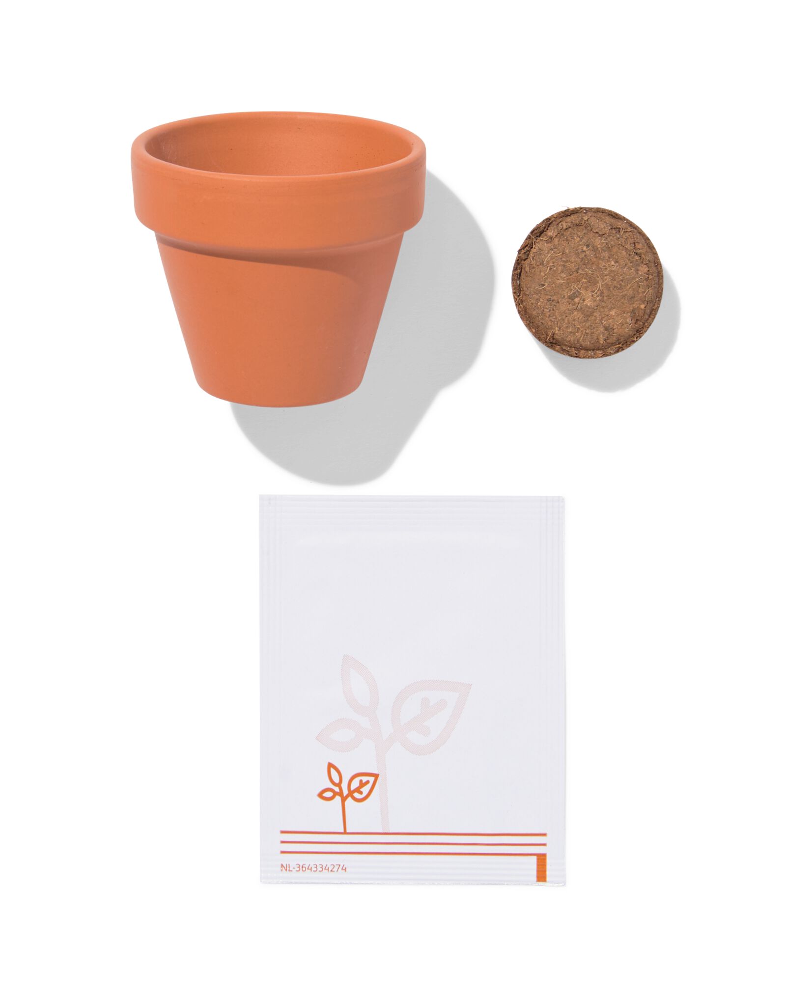 groeiplant spiegeleiplantje - 41800666 - HEMA