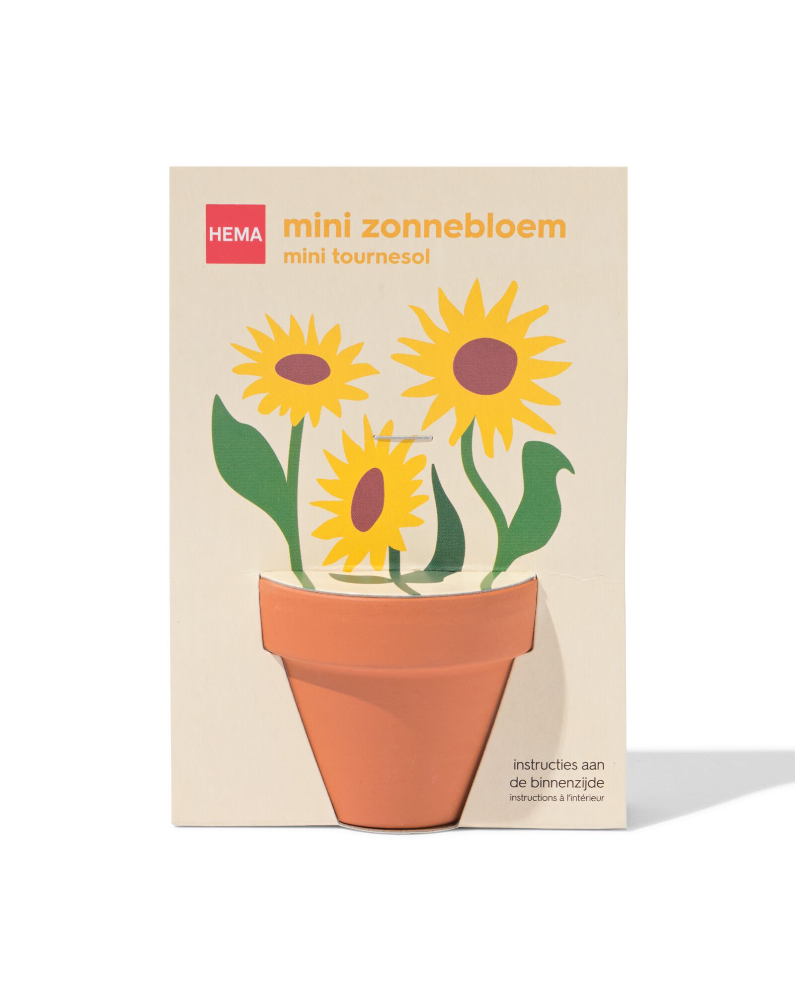 pot de culture pour mini-tournesol - 41800667 - HEMA